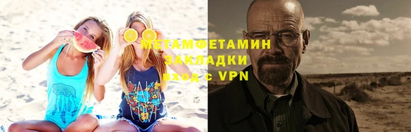 прущие грибы Белокуриха