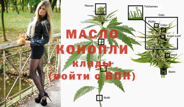 прущие грибы Белокуриха