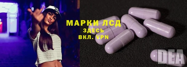 прущие грибы Белокуриха