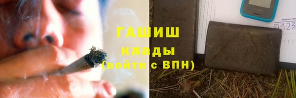 прущие грибы Белокуриха