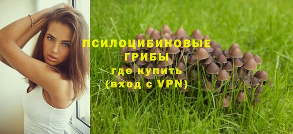 прущие грибы Белокуриха
