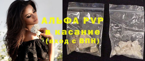 прущие грибы Белокуриха
