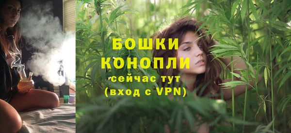 прущие грибы Белокуриха