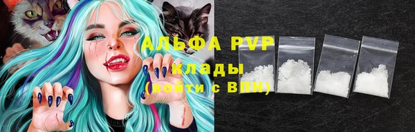 дживик Беломорск