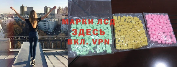 прущие грибы Белокуриха
