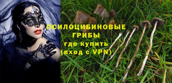 дживик Беломорск